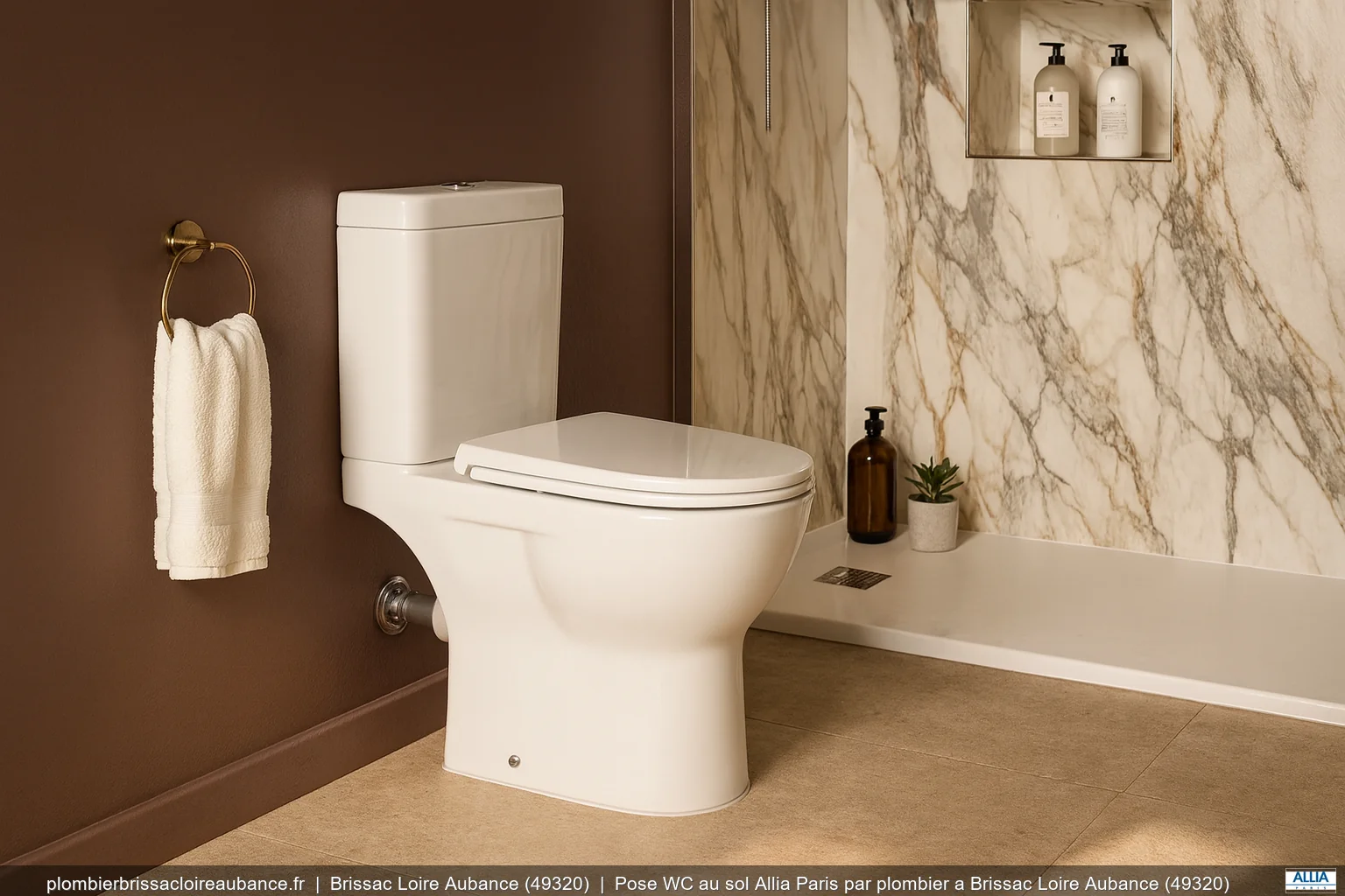 Pose WC au sol Allia Paris par plombier a Brissac Loire Aubance (49320)