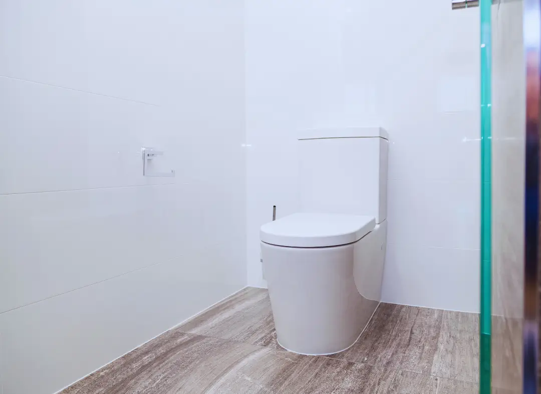 Remplacement de wc Brissac Loire Aubance